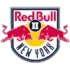 New York Red Bulls II Football Team Results