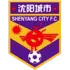 Liaoning Ironman Football Team Results