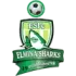 Elmina Sharks Football Team Results