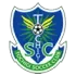 Tochigi SC Football Team Results