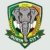 Surin City FC