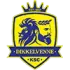SC Dikkelvenne Football Team Results