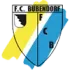 FC Bubendorf Football Team Results