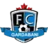 Gardabani Football Team Results