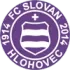 Slovan Hlohovec Football Team Results