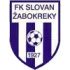 FK Slovan Zabokreky Football Team Results
