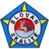 TJ Slovan Skalite Football Team Results