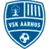 VSK Arhus Football Team Results