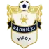 Radnicki Pirot Football Team Results