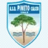 ASD Pineto Calcio Football Team Results
