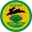 Tomelloso Football Team Results