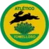 Tomelloso Football Team Results