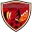 Al Qaisoma Football Team Results