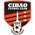 Cibao FC Football Team Results