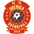 KF Drenica Skenderaj Football Team Results
