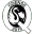 Odense Q Women Football Team Results