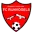 Rijnvogels Football Team Results