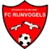 Rijnvogels Football Team Results