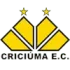 Criciuma U20 Football Team Results