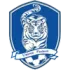FC Paulesti Football Team Results