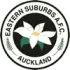 Eastern Suburbs Auckland Football Team Results