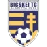 Bicskei TC Football Team Results