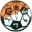 Dire Dawa Football Team Results