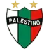 Palestino Football Team Results