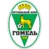 FK Gomel Football Team Results