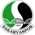 Sakaryaspor Football Team Results