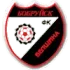 Belshina Bobruisk Football Team Results