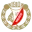 Widzew Lodz Football Team Results