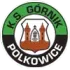 Gornik Polkowice Football Team Results