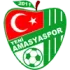 Amasyaspor FK Football Team Results