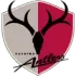 Kashima Antlers Football Team Results
