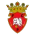 Penafiel Football Team Results