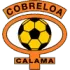 Cobreloa Football Team Results