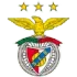 Benfica Football Team Results