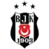 Besiktas Football Team Results