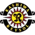 Kashiwa Reysol Football Team Results