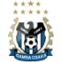 Gamba Osaka Football Team Results
