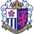 Cerezo Osaka Football Team Results