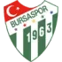 Bursaspor Football Team Results