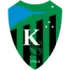 Kocaelispor Football Team Results