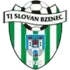 Bzenec Football Team Results