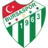 Bursaspor U19 Football Team Results