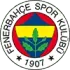 Fenerbahce U19 Football Team Results