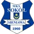 Sokol Sieniawa Football Team Results
