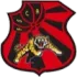 Flamengo de Arcoverde Football Team Results
