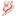Masfut